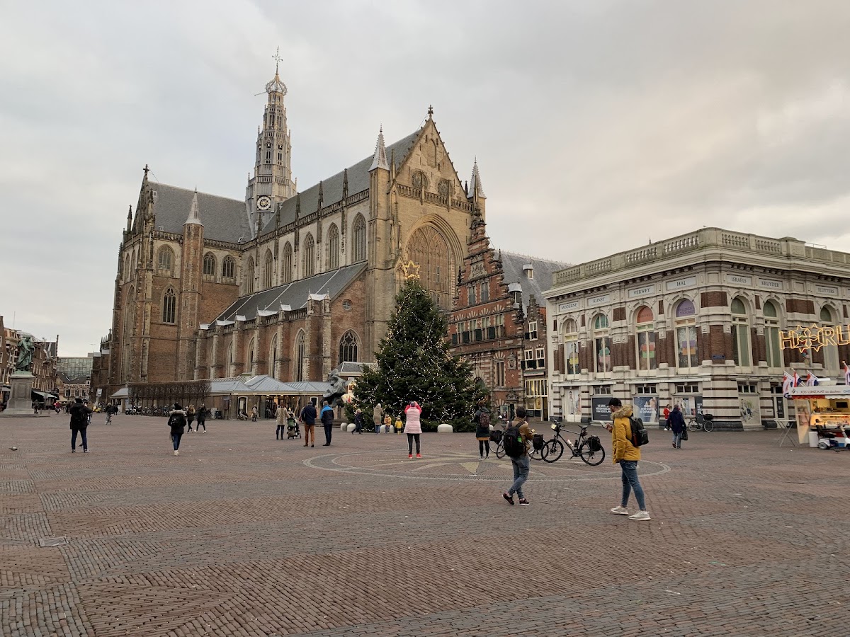 The St. Bavo Church in Haarlem