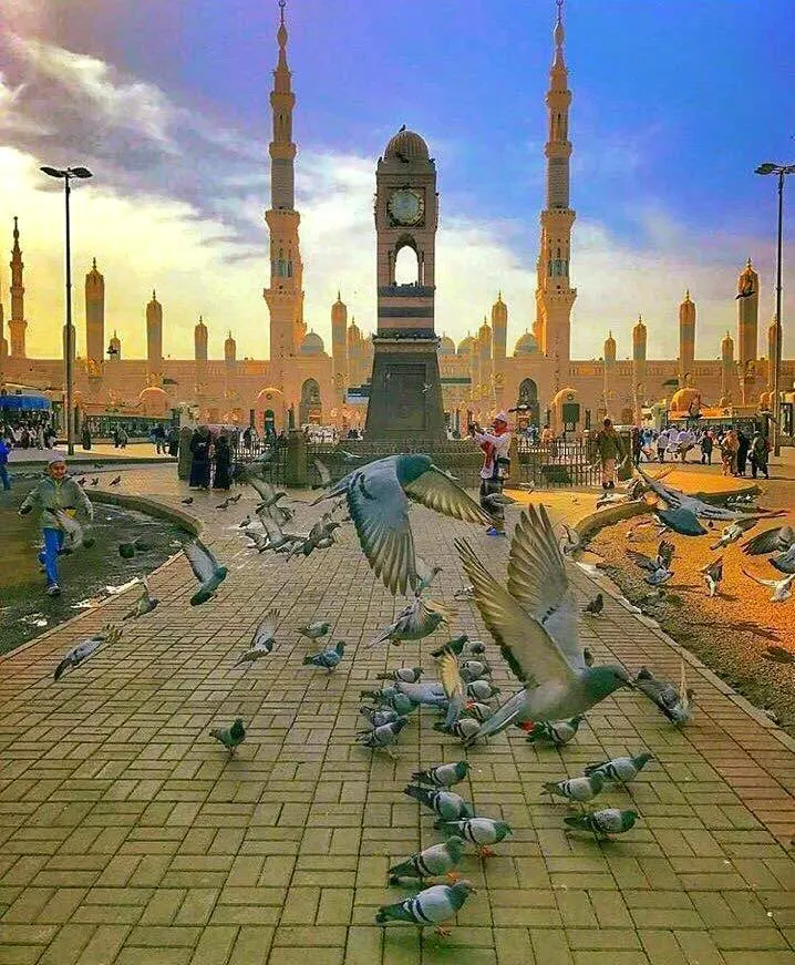 The Green Dome