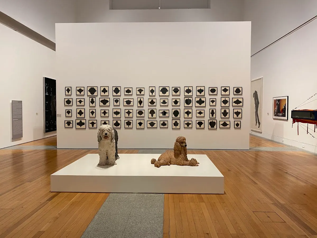 Museum of Contemporary Art – MAC/CCB