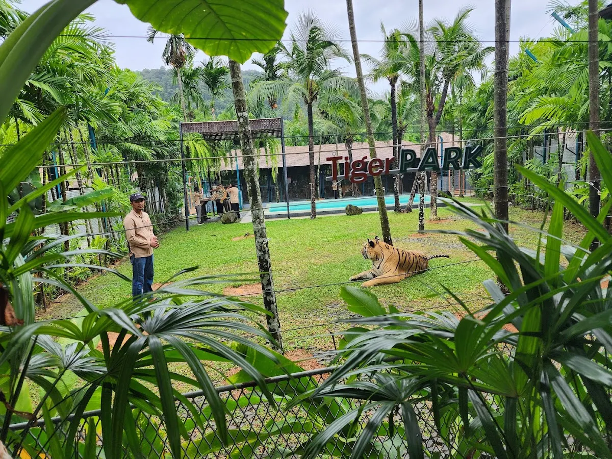 Tiger Park Phuket