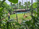 Tiger Park Phuket