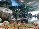 SeaWorld Abu Dhabi | سي وورلد جزيرة ياس، أبوظ