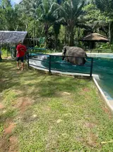Phuket Elephant Nature Reserve