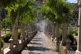 Jardins d'Alfàbia