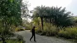 Yamuna Biodiversity Park