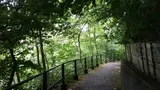 Bois de la Bâtie