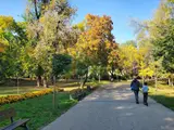 The National Park