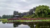 Yuanmingyuan Park