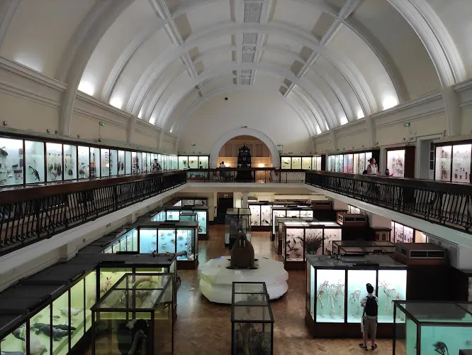 Horniman Museum and Gardens