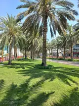 Al Muteena Park