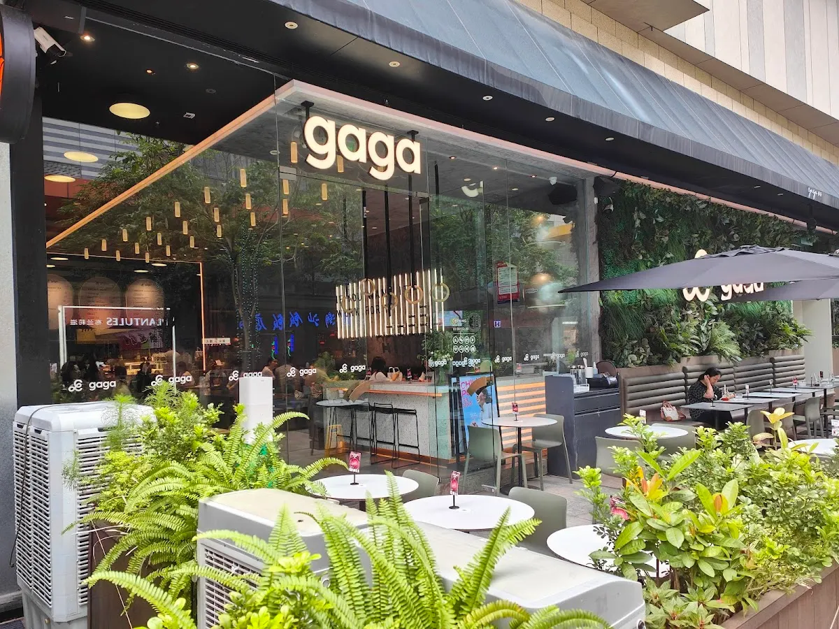 Gaga Chef