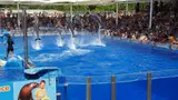 Marineland Mallorca