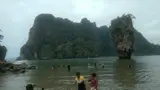 Tiger Kingdom