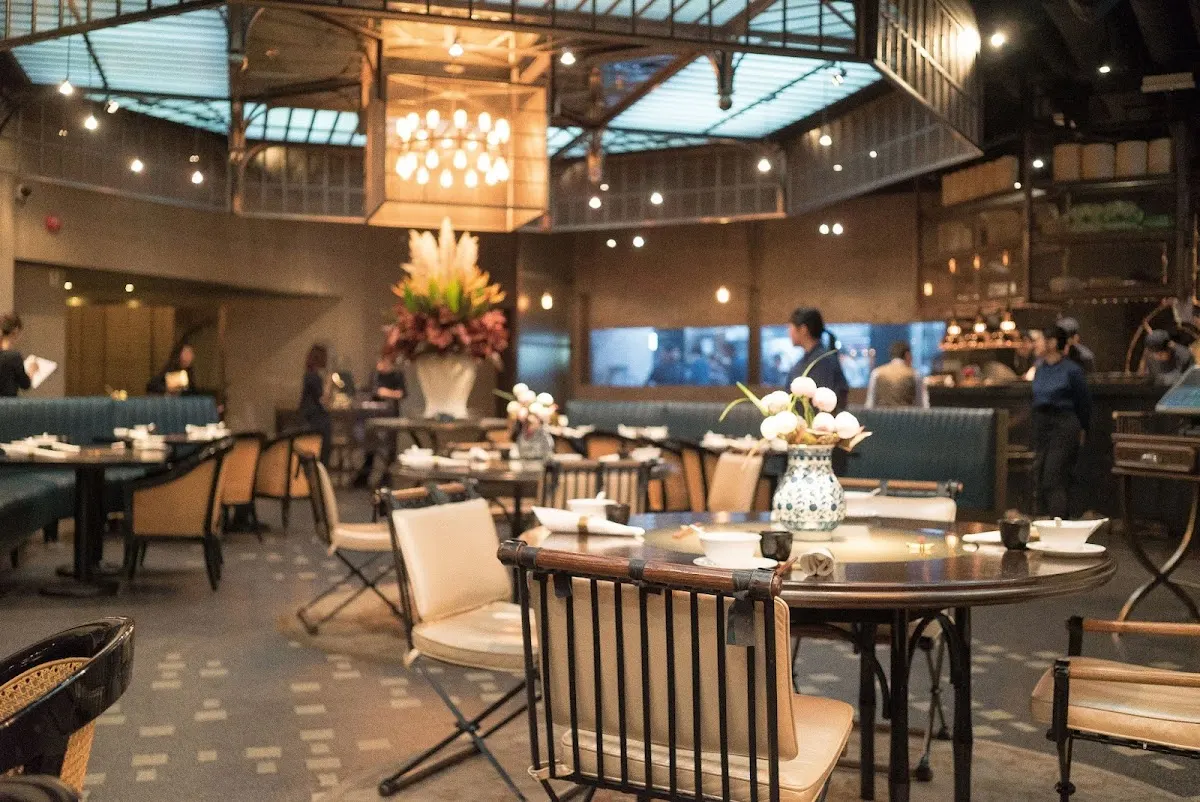 Mott 32