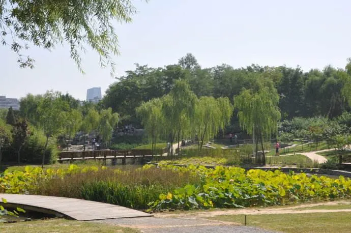 Haidian Park