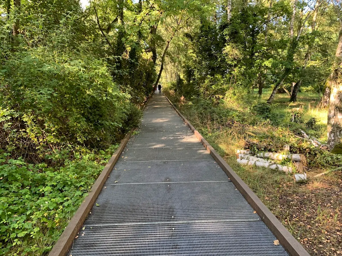 Natur Park Südgelände