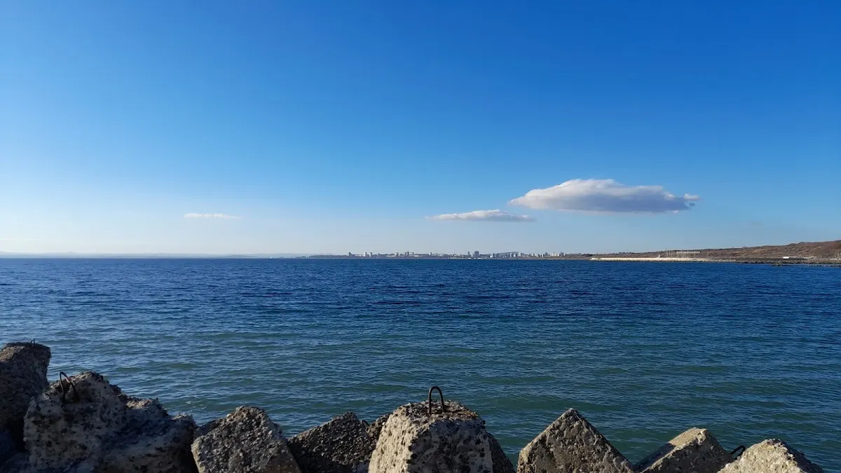 Sarafovo rock docks