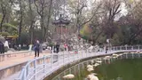Lianhuachi Park