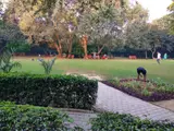 Jahanpanah City Forest