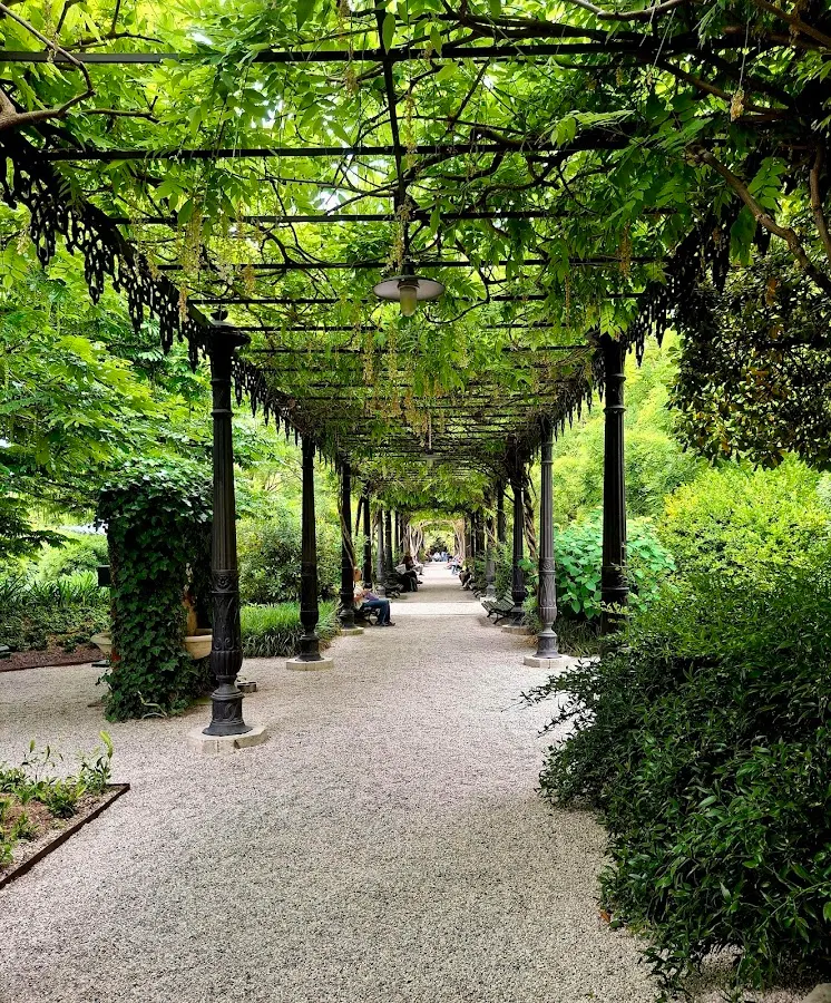 Royal Garden