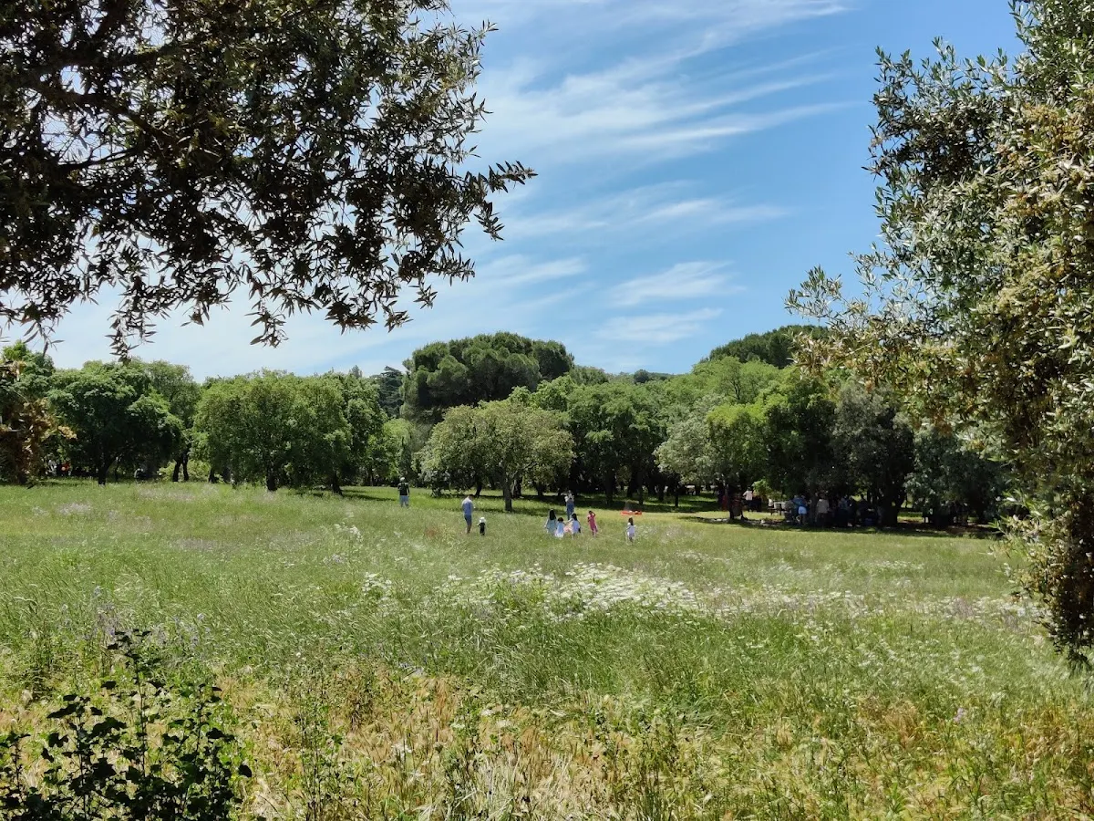 Parque do Calhau