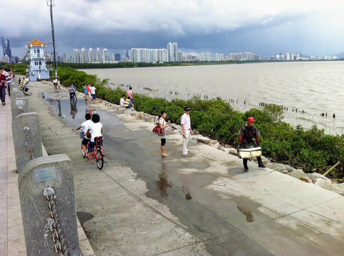 Mangrove Lin Haibin Park