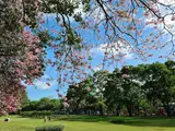 Wachirabenchathat Park (State Railway Park)