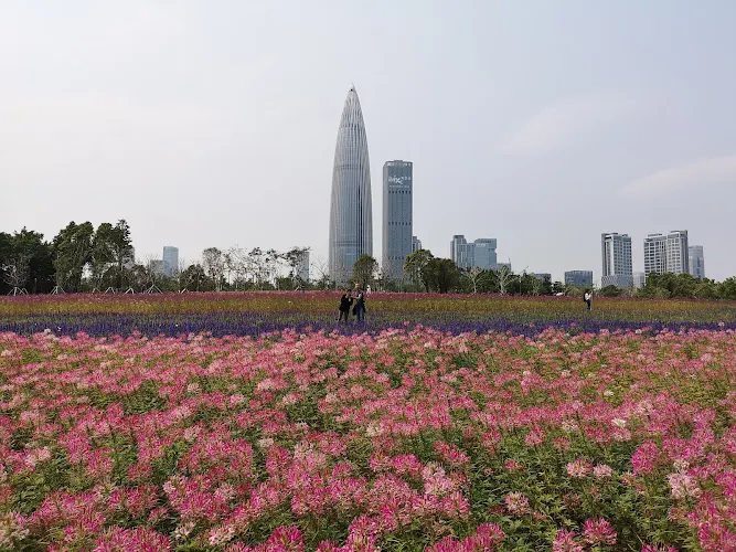 Shenzhen Bay Park Liuhuashan