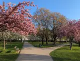 Park Stara Trešnjevka