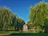 Bazilescu Park