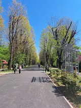 Bucharest Herăstrău Park