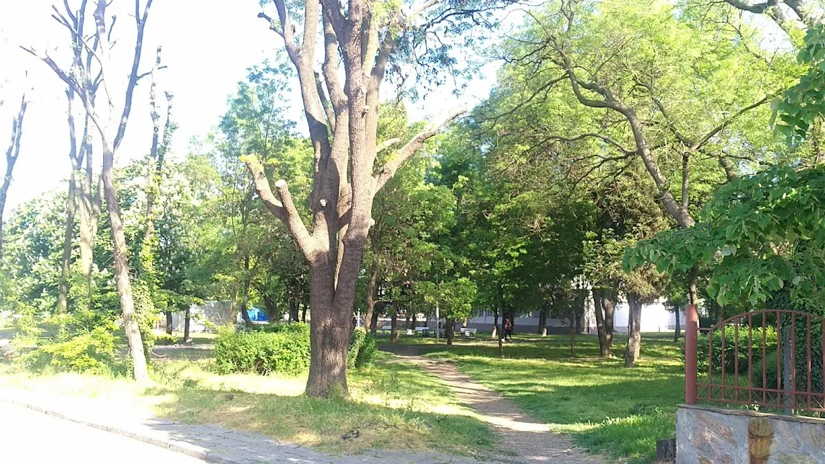 Park