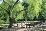 The Japanese Garden of King Michael I Park