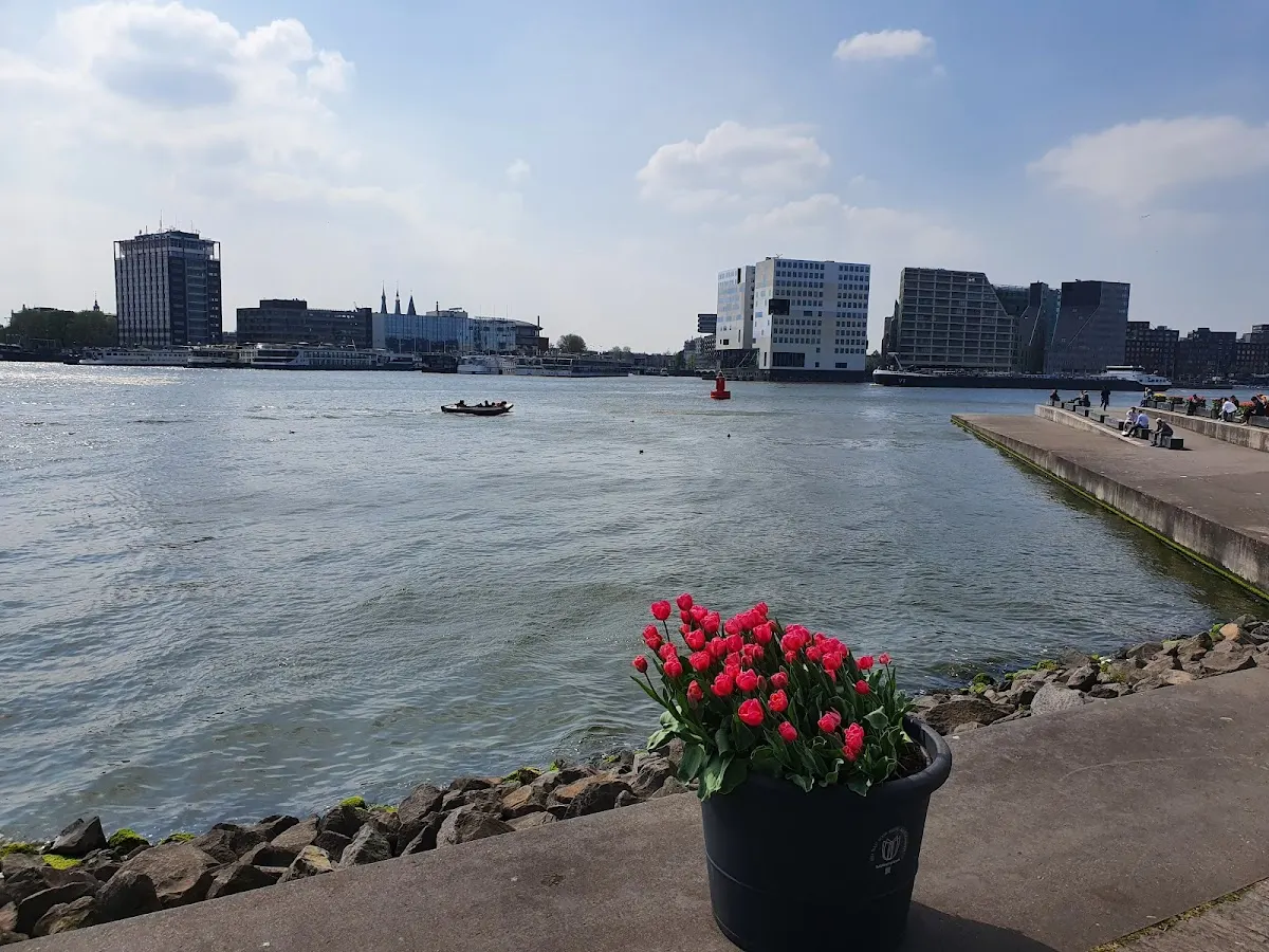 This is Holland