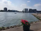 This is Holland