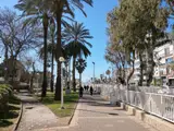 חוף דתיים - חוף נפרד - Religious Beach