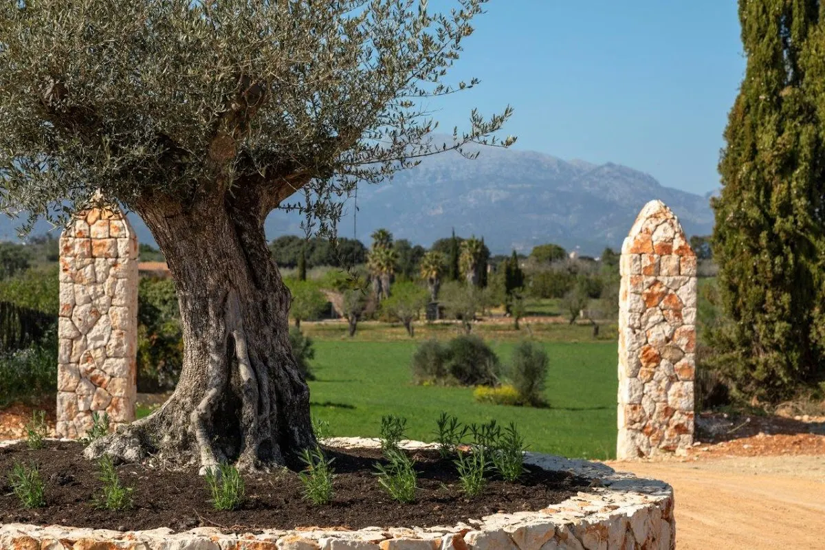 LA Organic Experience Mallorca