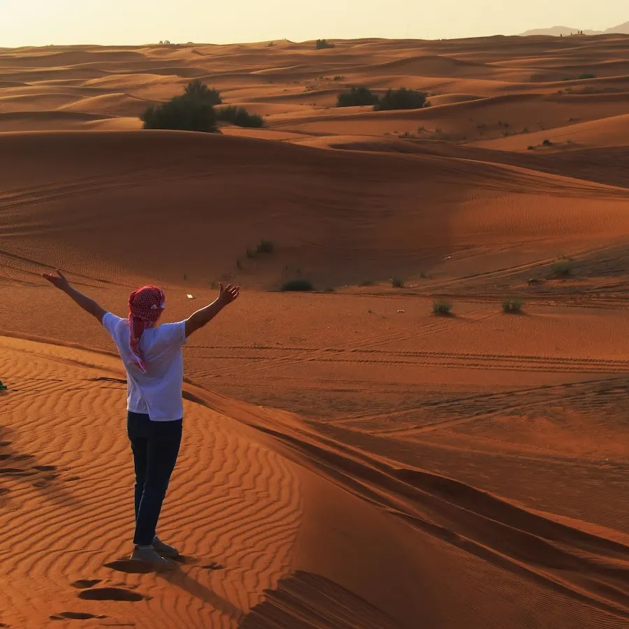 RED Desert Safari