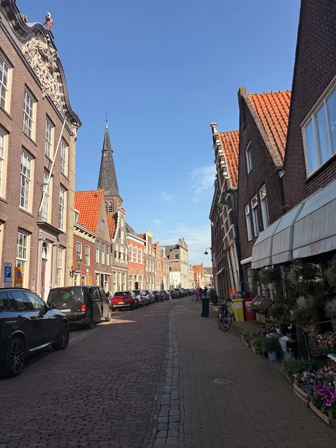 Amsterdam Tulips Tour