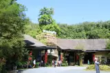 Phuket Bird Park