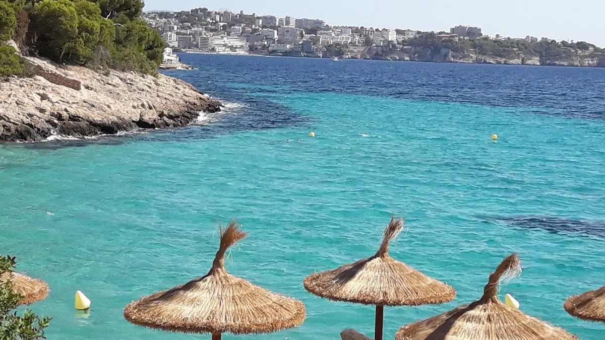 Palma Aquàrium