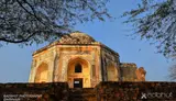 Mehrauli Archaeological Park