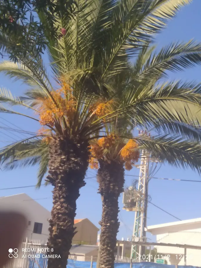 פארק הגדוד העברי