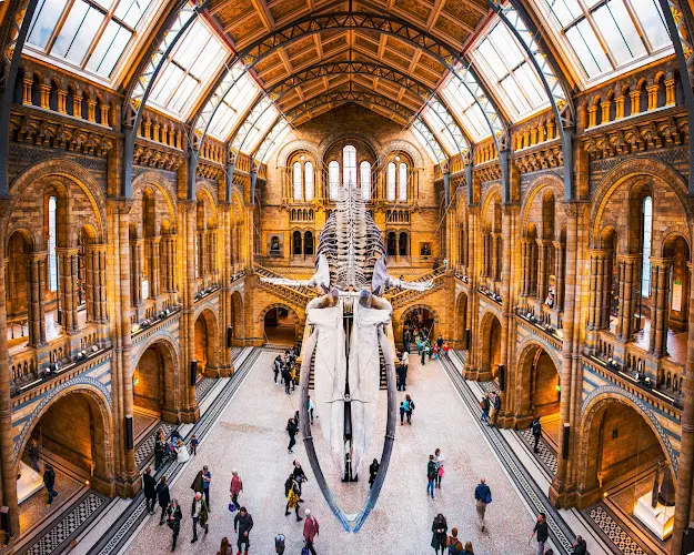 Natural History Museum