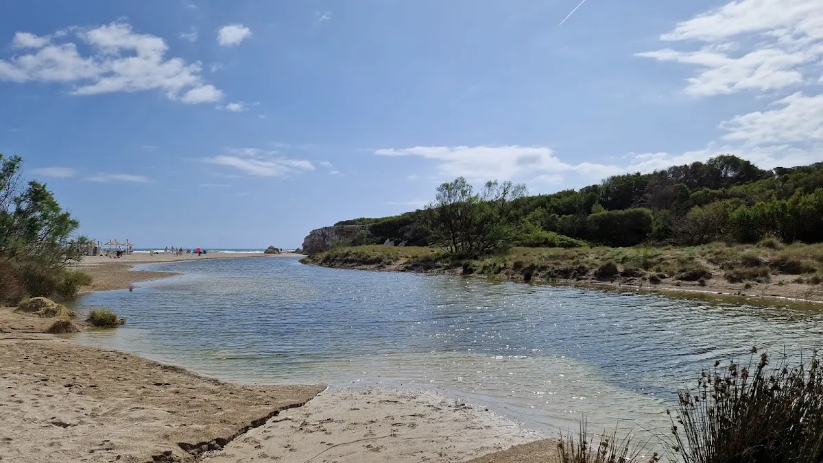 Platja de Ca'n Picafort