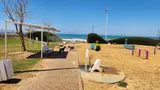 Dog Park